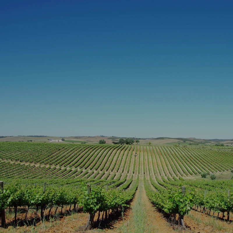 Alentejo